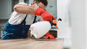 Best Pest Control for Multi-Family Homes  in Rainier, OR